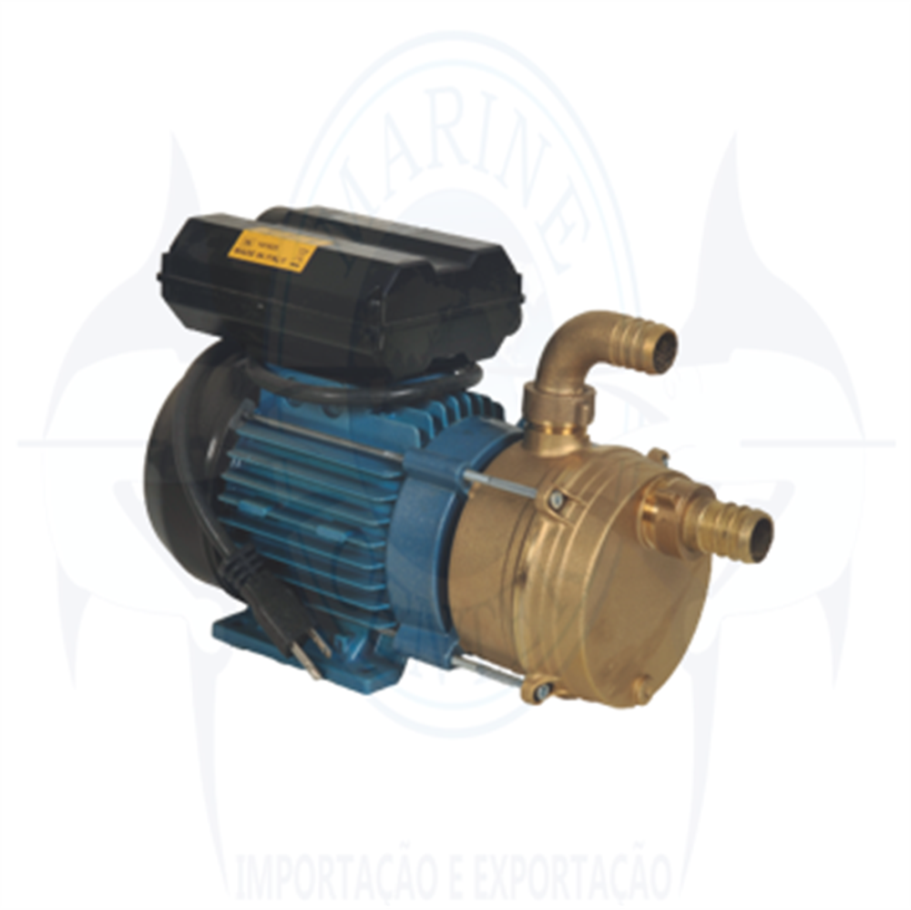 Imagem de Bomba elétrica  EEM-25 - 110V-60HZ-3/4” - Cod.1109